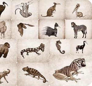 15 animots Walyse, dessins de Daniel Hébert