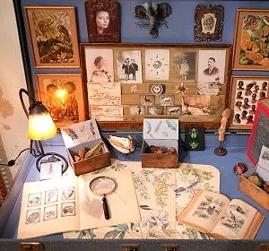 Le bureau d'Euphrasie Bougainvillier