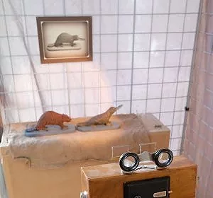 dscf4266.jpg